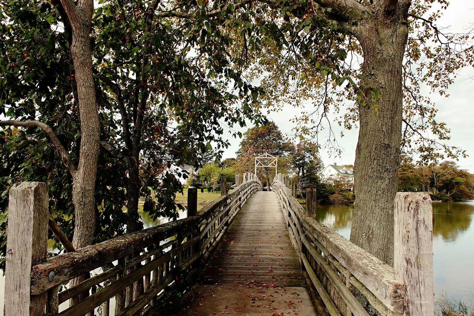 Wooden footbridge over lake